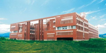 虽说是冷门专业,但在这所大学,足以媲美清华北大