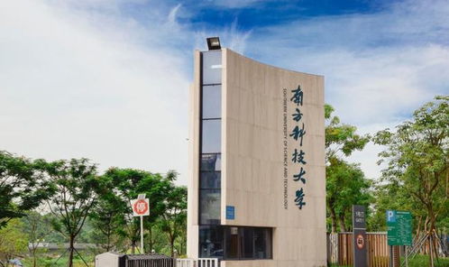 三大国际公认的世界大学排名榜单中,南方科大超过大多数985高校