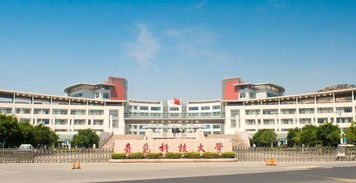 青岛科技大学本科毕业论文学术不端检测