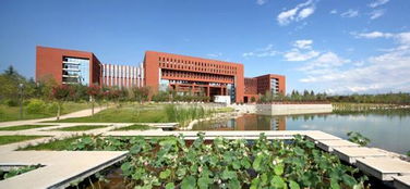 名校之惑 为何985大学也会被误认为“民办三本”？